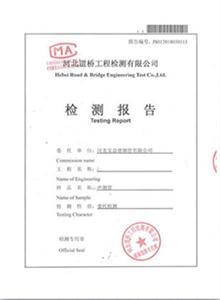 邵阳公司检测报告